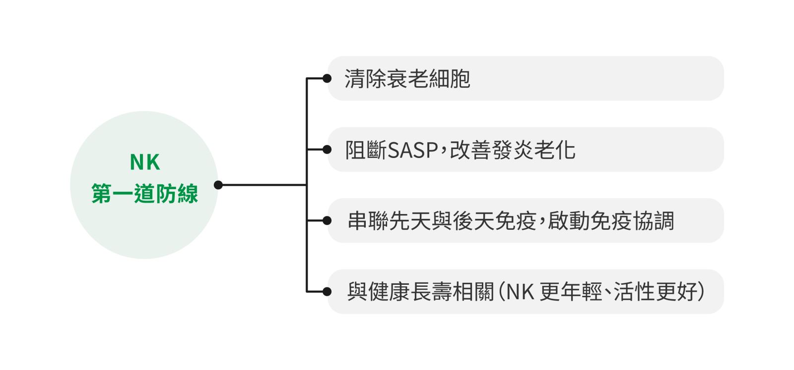 自然殺手細胞在免疫老化中的四個關鍵角色。