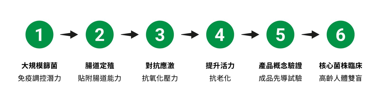 LP28 從菌種篩選到人體驗證的開發歷程，示意圖。