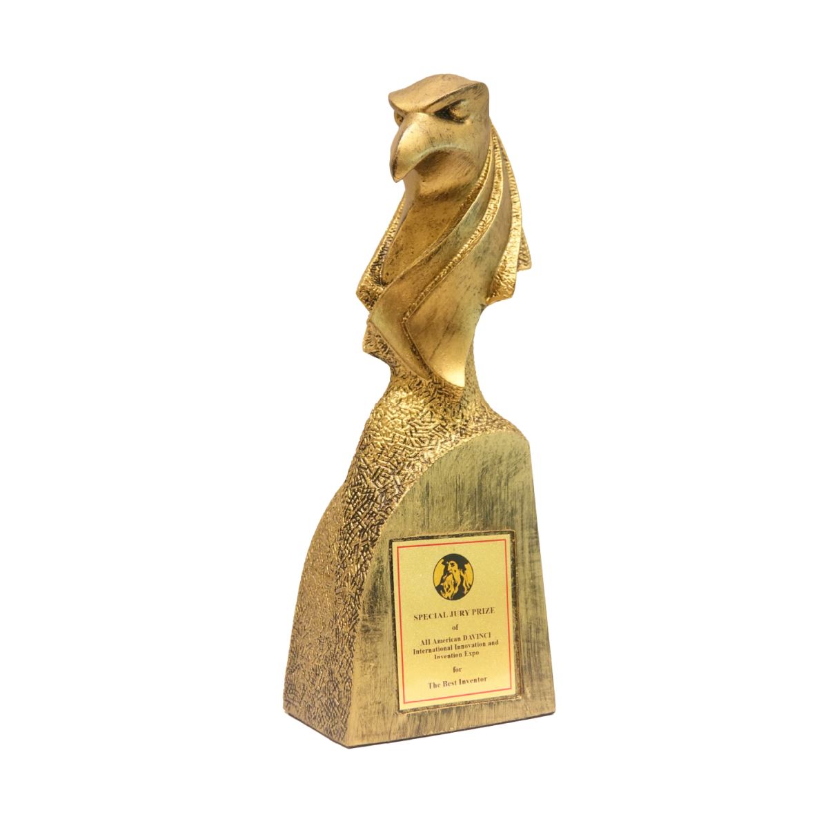 6th AII American DAVINCI International Innovation and Invention Expo Special Award