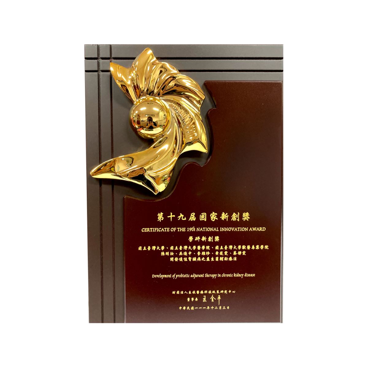 The National Innovation Award
