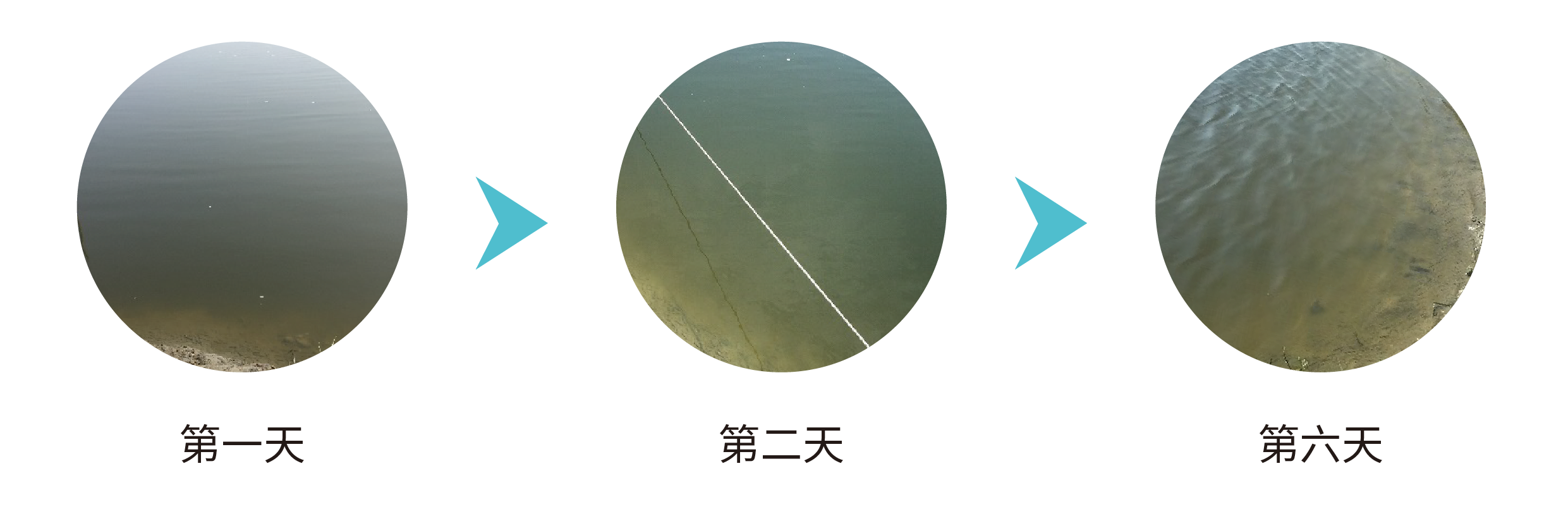 水質改良劑改善水色