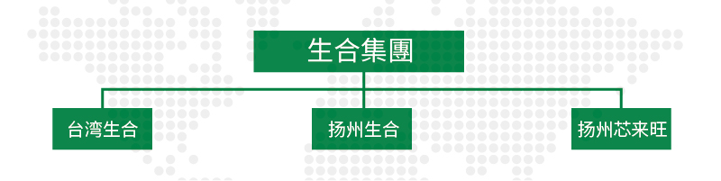 生合集团