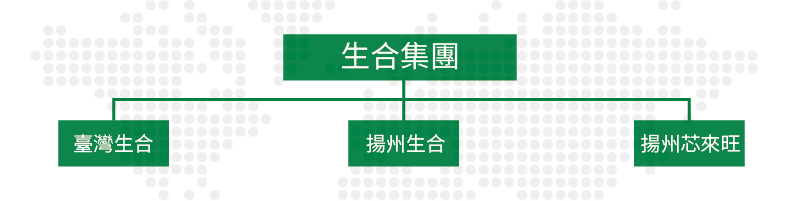 生合集團組織圖 生合集團組織圖