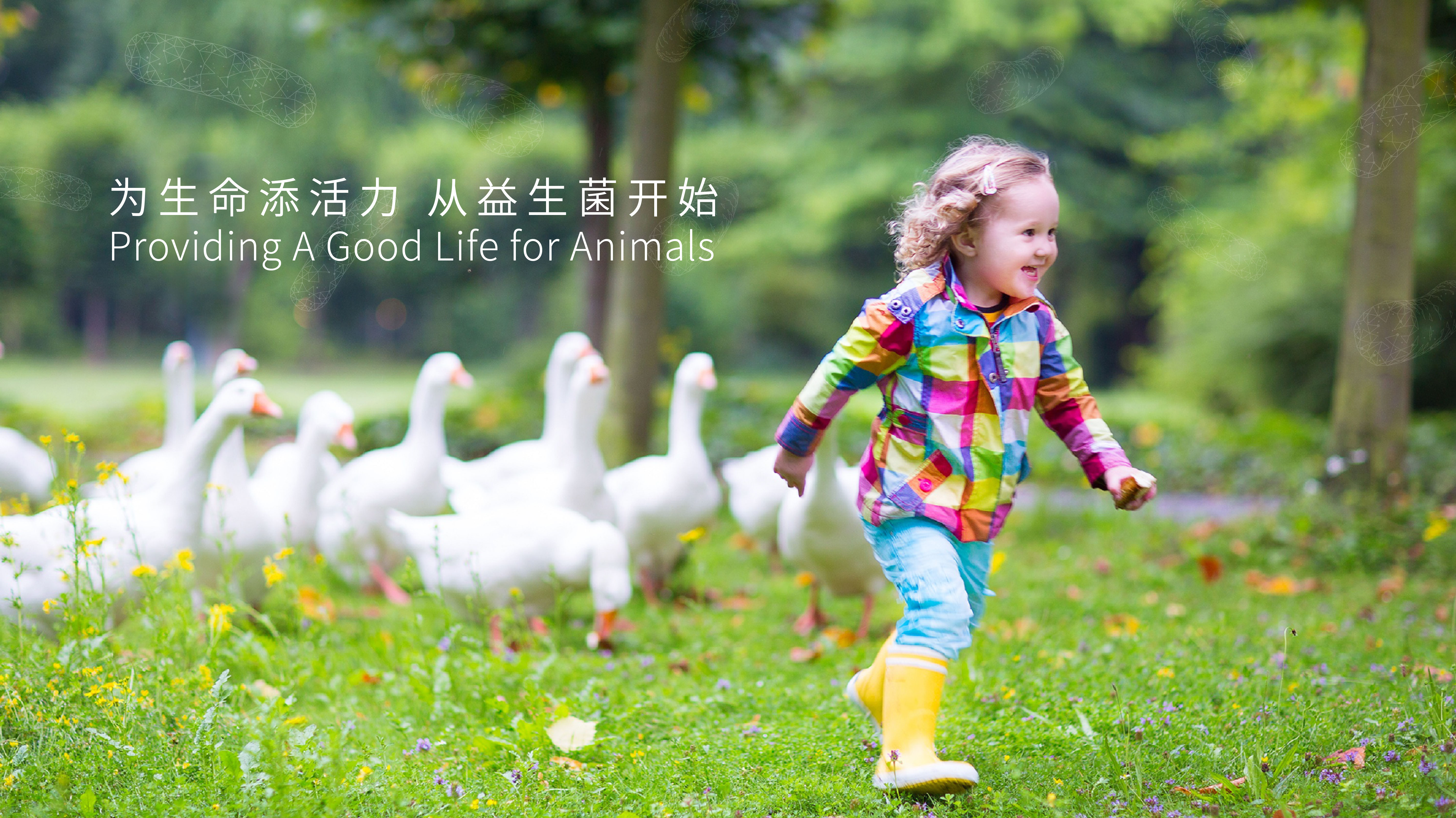 为生命添活力 从益生菌开始