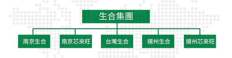 生合集團組織圖 生合集團組織圖