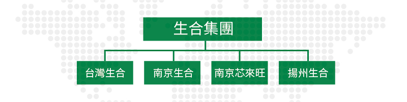 生合集團組織圖 生合集團組織圖