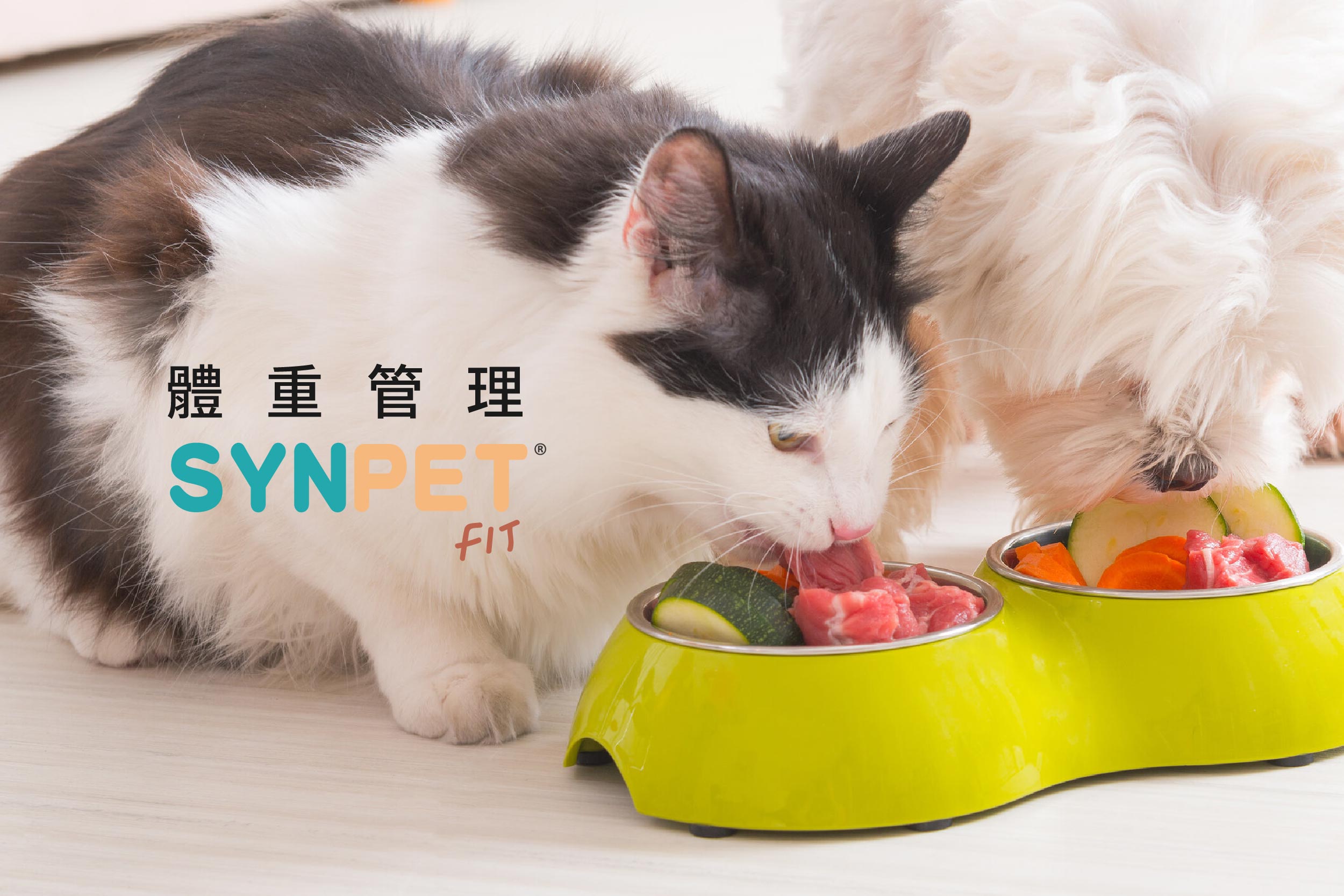 SYNPET Fit 體重管理精選配方 SYNPET Fit 體重管理精選配方