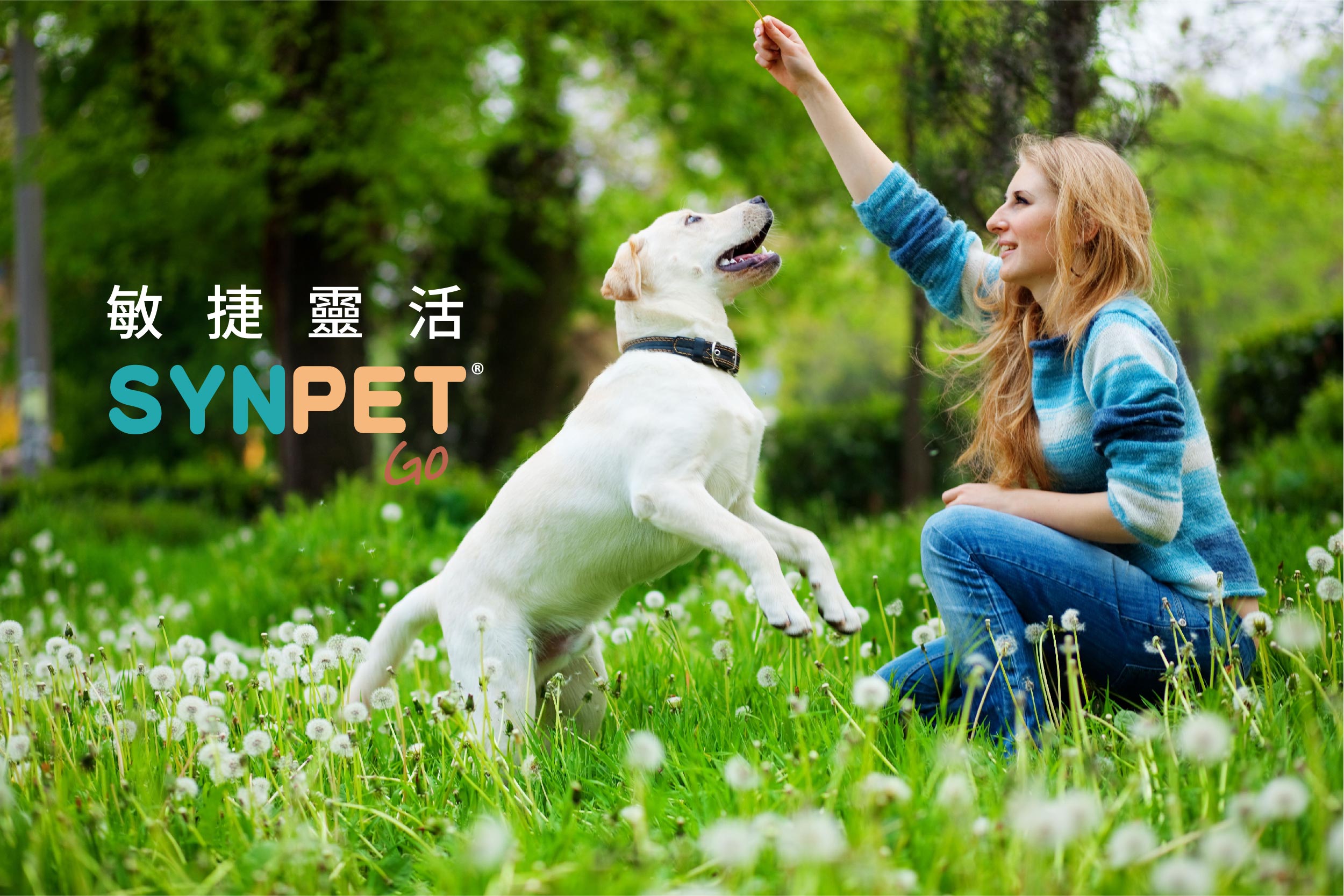 SYNPET GO 關節肌肉強化配方 SYNPET GO 關節肌肉強化配方