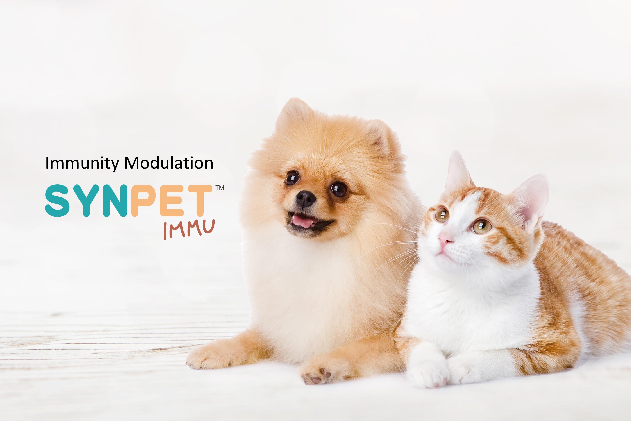 SYNPET Immu 抗敏護膚犬貓配方 SYNPET Immu 抗敏護膚犬貓配方