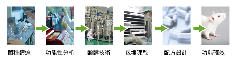 菌種優化製程系統流程 菌種優化製程系統流程